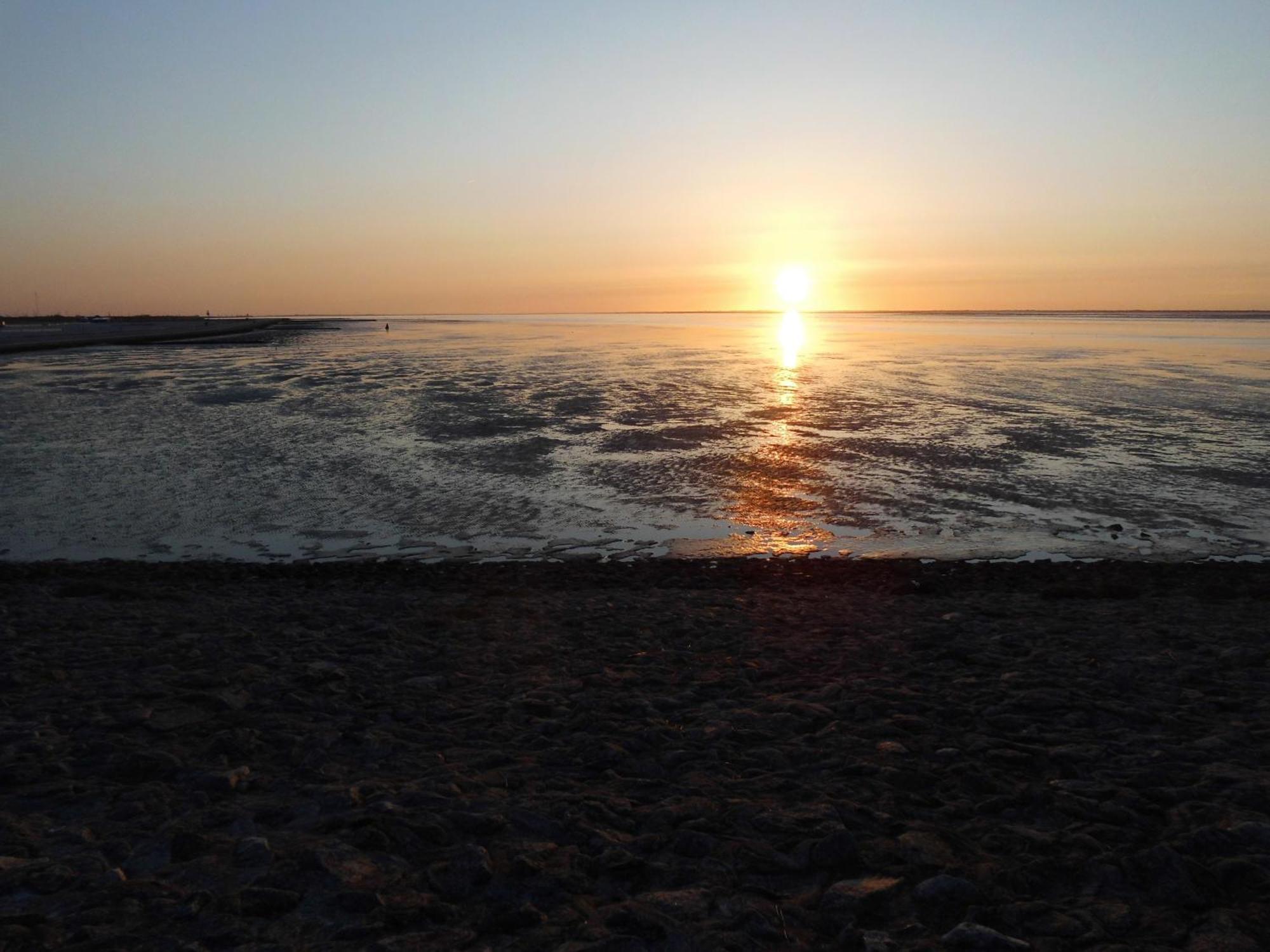 Moewennest Villa Neuharlingersiel Kültér fotó