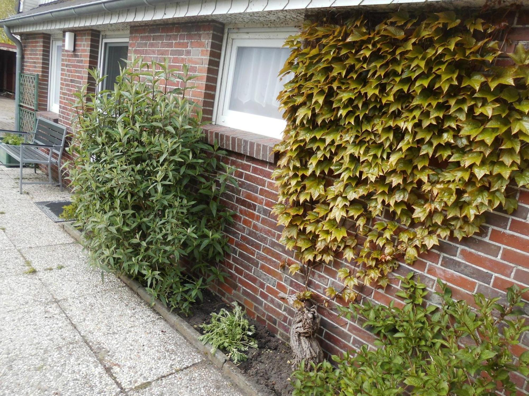 Moewennest Villa Neuharlingersiel Kültér fotó
